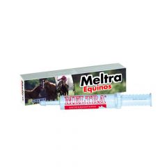 MELTRA PASTA JERINGA 20 ml