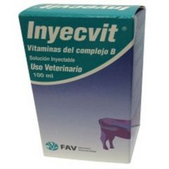 INYECVIT FCO AMP. 100 ml