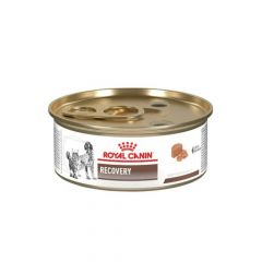 RECOVERY LATA 165 GR X 1 UN